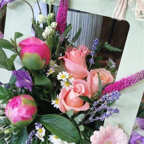 Coral  A Collection of vibrant and bright blooms