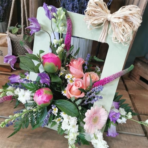 Coral  A Collection of vibrant and bright blooms