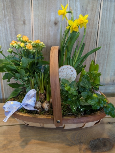 Mother's Day spring planted basket