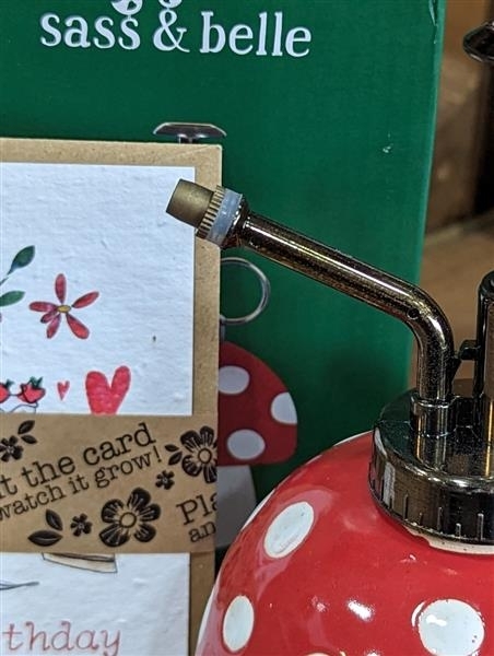 Mushroom mister gift