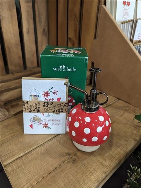 Mushroom mister gift