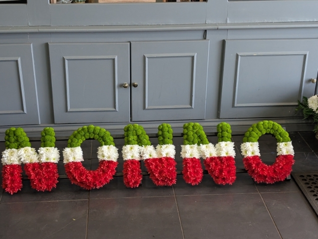 N.O.N.N.O In Welsh Colours