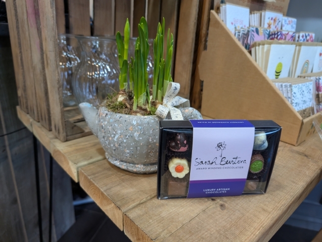 Spring narcissi teacup