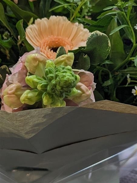 Evelyn A scented collection of soft peaches and creams