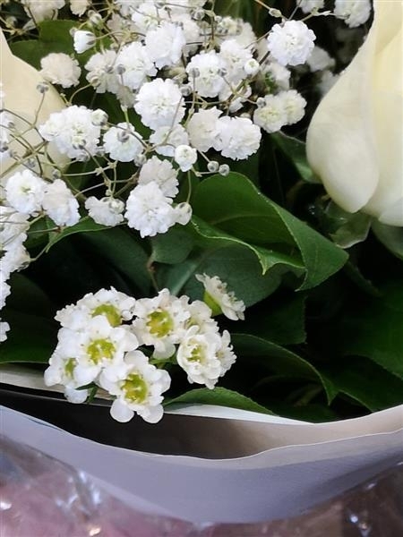 Darcey A scented collection of mixed roses.
