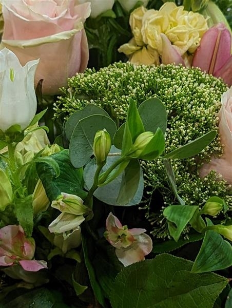 Seren   Beautiful Seasonal Flowers For Your Special Person