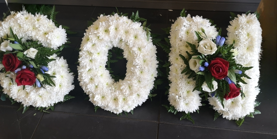 SON Tribute