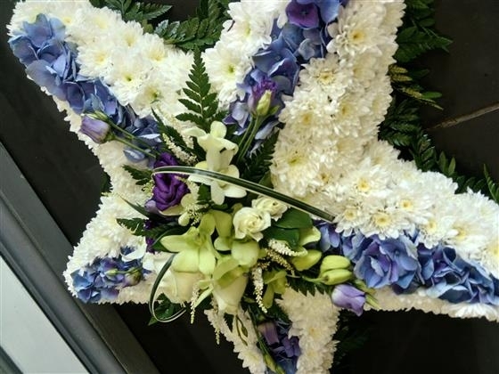 The Blue and White Star