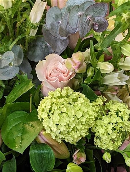 Marianne A magnificent Hand tied of Beautiful Flowers