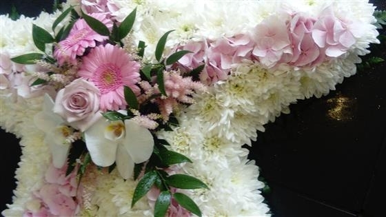 The Pink and White Star