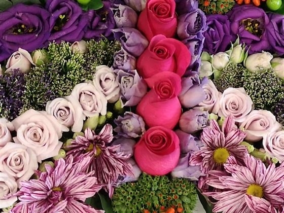 Vibrant butterfly tribute