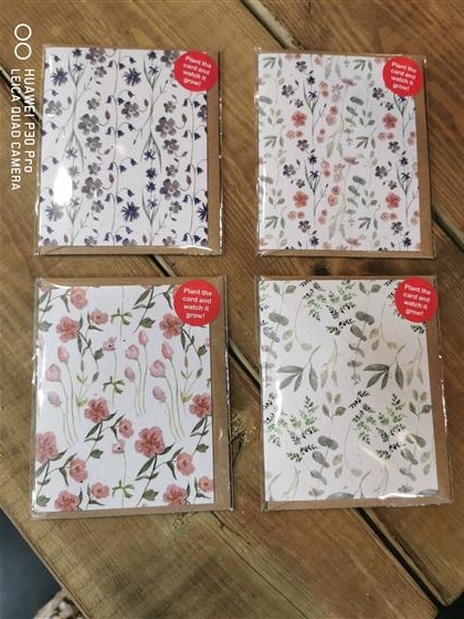Wild flower seed card