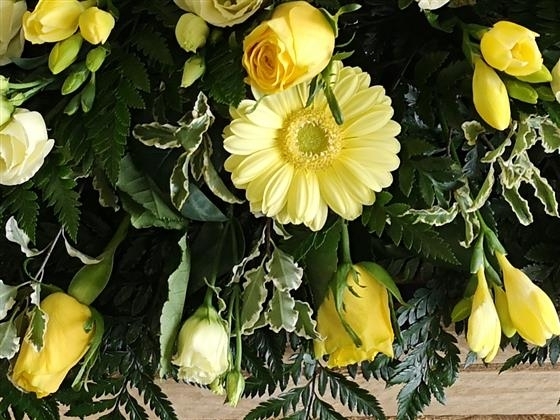 Yellow rose and gerbera casket spray