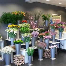 fwthumb20160307_164000.jpg